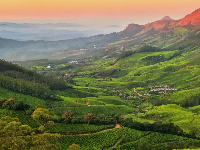 Munnar tea hills featured on the January calendar page