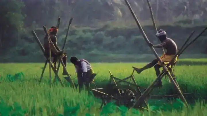 Kuttanad paddy fields and backwaters featured on the July calendar page